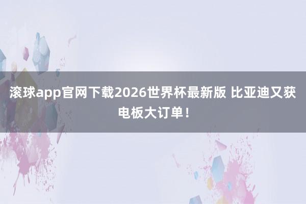 滚球app官网下载2026世界杯最新版 比亚迪又获电板大订单!