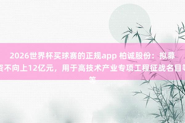 2026世界杯买球赛的正规app 柏诚股份:拟募资不向上12亿元,用于高技术产业专项工程征战名目等
