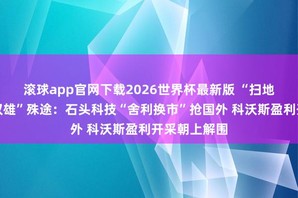 滚球app官网下载2026世界杯最新版 “扫地机器东谈主双雄”殊途:石头科技“舍利换市”抢国外 科沃斯盈利开采朝上解围