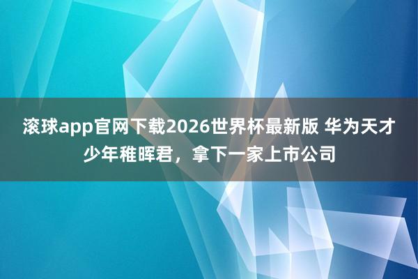 滚球app官网下载2026世界杯最新版 华为天才少年稚晖君，拿下一家上市公司