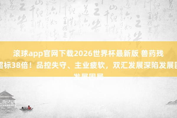 滚球app官网下载2026世界杯最新版 兽药残留超标38倍!品控失守、主业疲软,双汇发展深陷发展困局