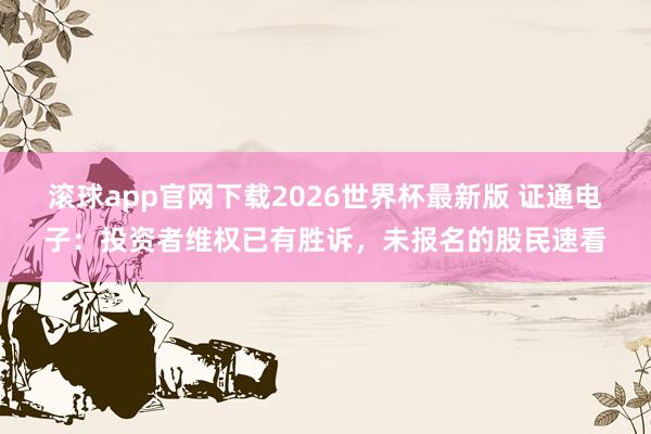 滚球app官网下载2026世界杯最新版 证通电子:投资者维权已有胜诉,未报名的股民速看
