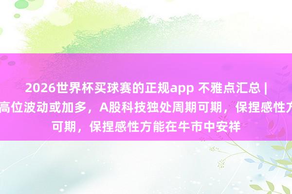 2026世界杯买球赛的正规app 不雅点汇总 | 陈果:好意思股高位波动或加多,A股科技独处周期可期,保捏感性方能在牛市中安祥
