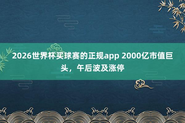 2026世界杯买球赛的正规app 2000亿市值巨头,午后波及涨停
