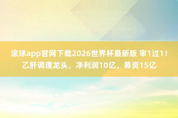 滚球app官网下载2026世界杯最新版 审1过1!乙肝调理龙头,净利润10亿,募资15亿
