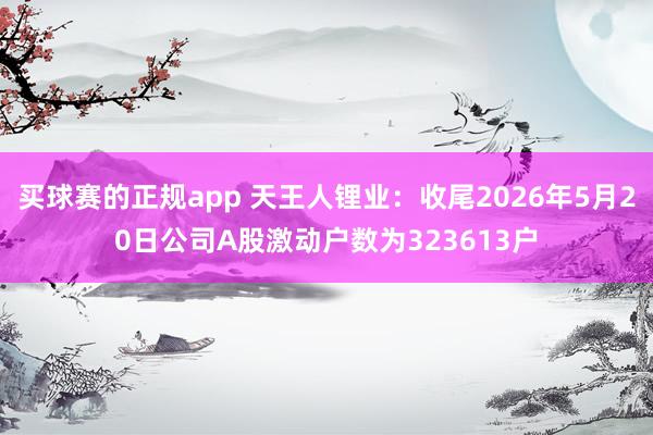 买球赛的正规app 天王人锂业:收尾2026年5月20日公司A股激动户数为323613户