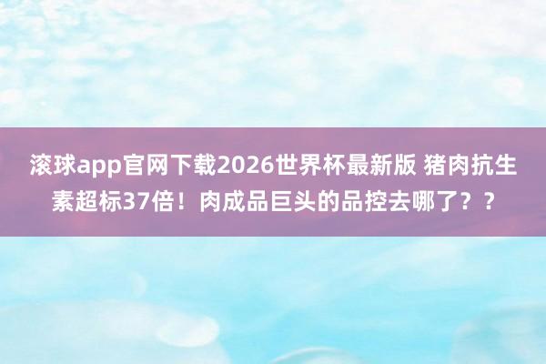 滚球app官网下载2026世界杯最新版 猪肉抗生素超标37倍!肉成品巨头的品控去哪了??
