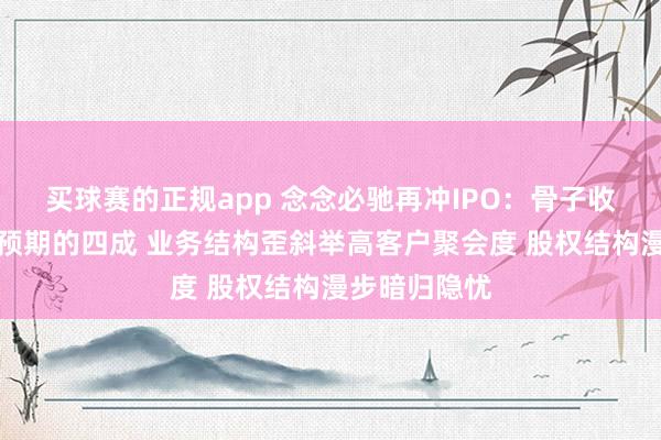 买球赛的正规app 念念必驰再冲IPO：骨子收入不足此前预期的四成 业务结构歪斜举高客户聚会度 股权结构漫步暗归隐忧