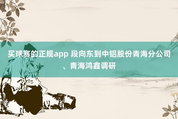 买球赛的正规app 段向东到中铝股份青海分公司、青海鸿鑫调研