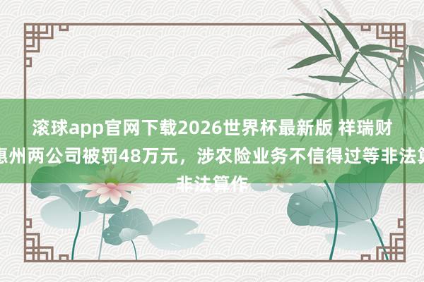 滚球app官网下载2026世界杯最新版 祥瑞财险惠州两公司被罚48万元，涉农险业务不信得过等非法算作