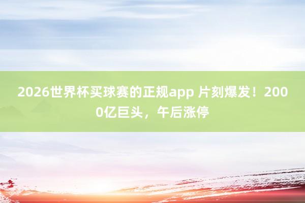 2026世界杯买球赛的正规app 片刻爆发!2000亿巨头,午后涨停