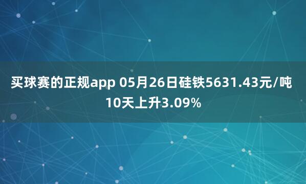 买球赛的正规app 05月26日硅铁5631.43元/吨 10天上升3.09%