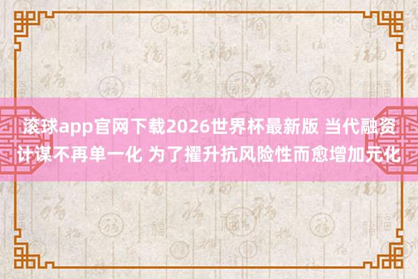 滚球app官网下载2026世界杯最新版 当代融资计谋不再单一化 为了擢升抗风险性而愈增加元化