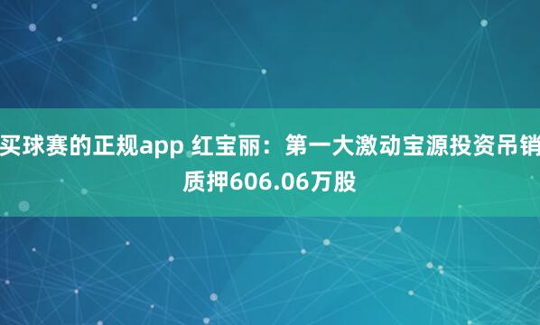 买球赛的正规app 红宝丽:第一大激动宝源投资吊销质押606.06万股