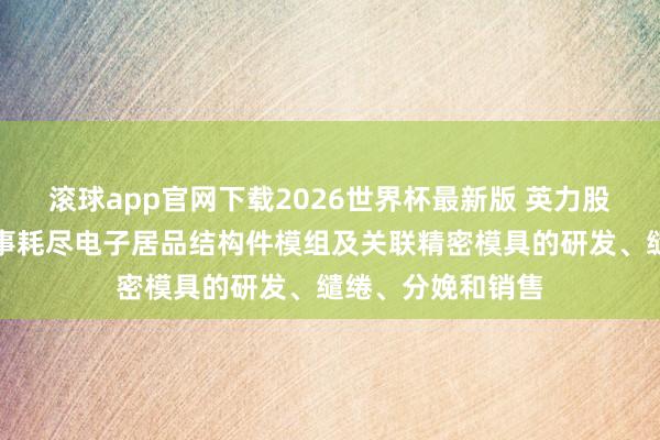 滚球app官网下载2026世界杯最新版 英力股份:公司主要从事耗尽电子居品结构件模组及关联精密模具的研发、缱绻、分娩和销售