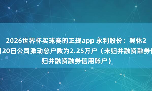 2026世界杯买球赛的正规app 永利股份：罢休2026年5月20日公司激动总户数为2.25万户（未归并融资融券信用账户）