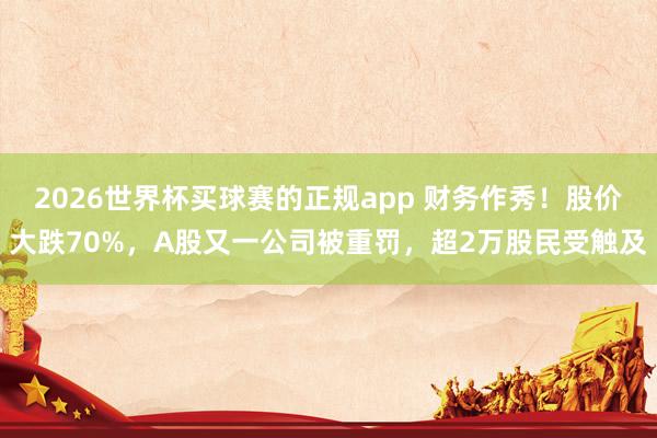 2026世界杯买球赛的正规app 财务作秀！股价大跌70%，A股又一公司被重罚，超2万股民受触及