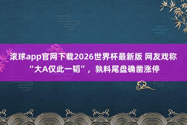 滚球app官网下载2026世界杯最新版 网友戏称“大A仅此一韬”,孰料尾盘确凿涨停