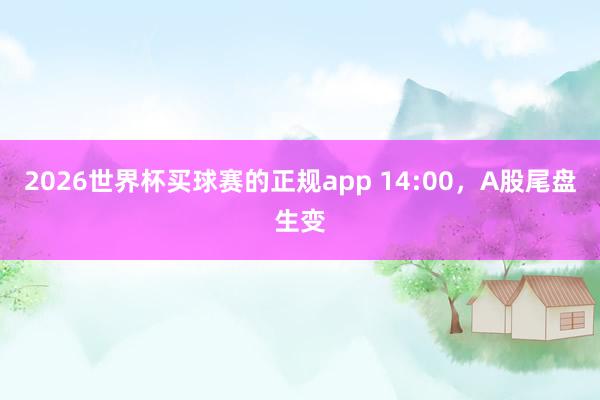 2026世界杯买球赛的正规app 14:00,A股尾盘生变