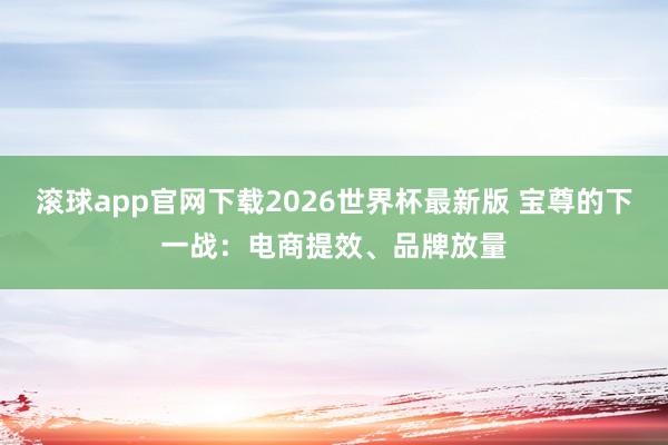 滚球app官网下载2026世界杯最新版 宝尊的下一战:电商提效、品牌放量