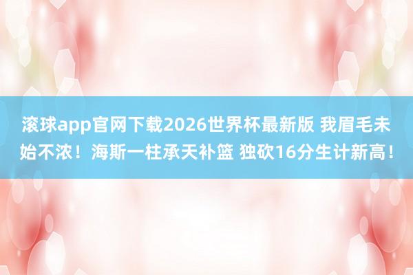 滚球app官网下载2026世界杯最新版 我眉毛未始不浓！海斯一柱承天补篮 独砍16分生计新高！
