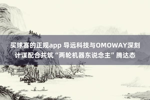 买球赛的正规app 导远科技与OMOWAY深刻计谋配合共筑“两轮机器东说念主”腾达态
