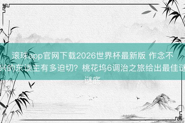 滚球app官网下载2026世界杯最新版 作念不扫兴的东谈主有多迫切?桃花坞6调治之旅给出最佳谜底