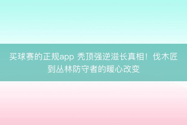 买球赛的正规app 秃顶强逆滋长真相!伐木匠到丛林防守者的暖心改变