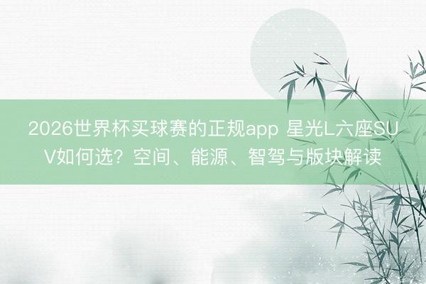 2026世界杯买球赛的正规app 星光L六座SUV如何选?空间、能源、智驾与版块解读
