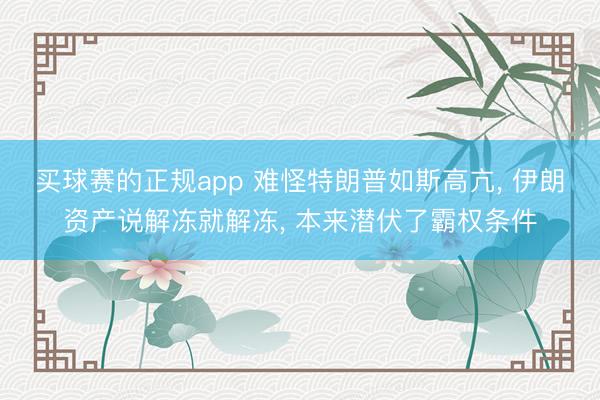 买球赛的正规app 难怪特朗普如斯高亢, 伊朗资产说解冻就解冻, 本来潜伏了霸权条件